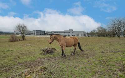 Hier wohnen Sie in der Gartenwhg. wie im eigenen Haus - Neubau 3,5 Zi. Whg. – Luxus für wenig Geld!