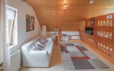 1,5 Zimmer Apartment im schönen Schwarzwald