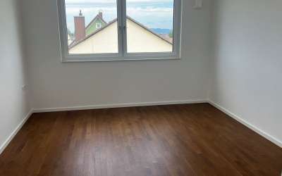 Das Panorama-Penthouse mit der Schwäbischen-Alb zum greifen nah!