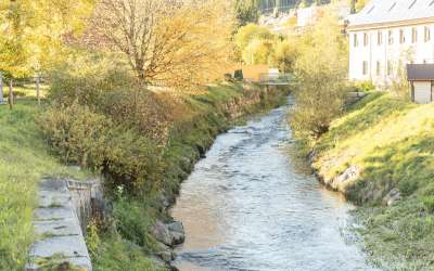 Schöne 4 Zimmer Altbauwohnung in Vöhrenbach